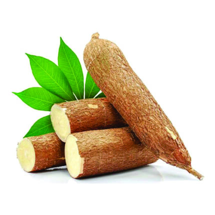 Cassava