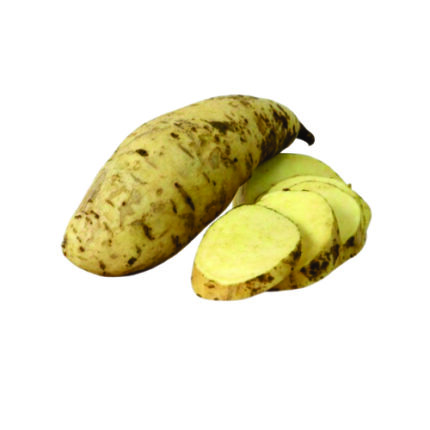 Sweet Potato